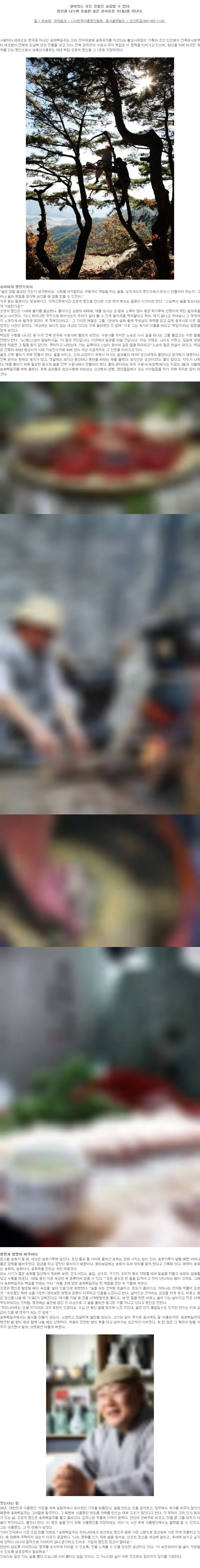 [열 번째 명인주] 송화백일주 조영귀 명인